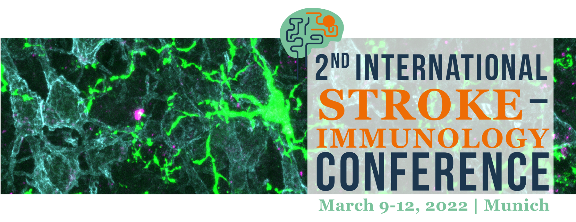 General Information Hybrid Conference Stroke Immunology Meeting